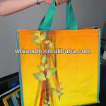 Custom reusable Printed Promotional PP Shopping bag 2013 Customize