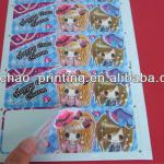 Custom self adhesive Vinyl die cut sticker DCS001