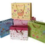 Custom shopping paper bags manufacturers, suppliers, exporters, paper bags wholesale T-KPB13101101