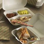 disposable biodegradable compartments food packaging tray TB-tray-02