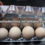 Disposable blister PET/PVC/PS/PP 8 chicken egg plastic tray transparent plastic egg tray LT-5