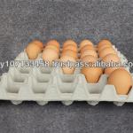 Disposable Egg Carton Tray UNI OR AA