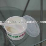 Disposable frozen yogurt cup with lid and spoon GN1214