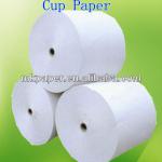 Double Side PE Coated Cup Paper CP1