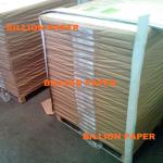 Duplex Paper Board for Bangladesh Garment Accessory GB