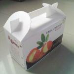 Eco Corflute Plastic Box For Packaging And Advertising VC001