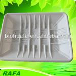 Eco-friendly Cornstarch Disposable Fruit Tray RFT-02