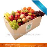 Ecofriendly paper fruit carton box JTP-CFP003