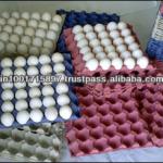 Egg Pulp Tray JIC