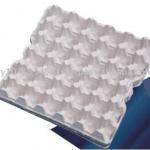 Egg Pulp Tray 30pcs (AA Size), egg tray, paper pulp, disposable tray, paper egg tray AA Size