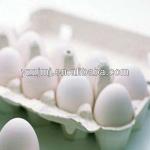 Egg Tray(4/6/30pcs) PT-10