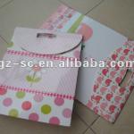 export paper carry bags PB -023