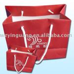 Fashional Gift Package Paper Bag Wholesale YG-TBD681