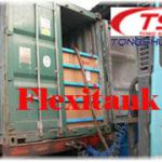 flexibag for container liquid package TS-Flexitank