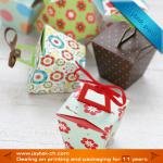 Folding cupcake boxes with ribbon handle JTP-GP967