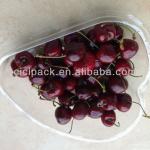 fresh Cherry storge container HL055