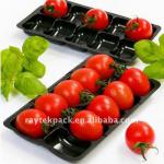 fresh grape tray B0145