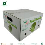 FRESH LETTUCE PACKAGING BOX FP430403