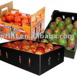 fruit container(fruit packing,fruit packaging box) Fruit Box W402