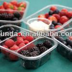 Fruit punnet XDP-FP-066