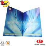 Full color brochure printing/flyer printing/hotel leaflet printing LYPB05081302