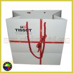 Gift Paper Packaging Bag/ Paper Carrier Bag WDS-BAG060