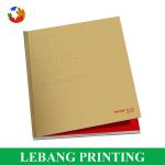 Good Quality Custom CMYK Printing Brochure LB-D013