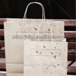 Guangzhou reusable multiply shoes paper gift bags T130816-05