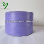 Hat plastic strap/plastic packing strap/plastic strap ZY020083