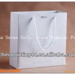 high quality popular paper shopping bag 2013-2014 China PPB 25