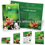 High quality printing brochure/template with film for promotion HW-D1194B