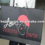 Hot Sale Customized Paper Bag/Kraft bag OEM