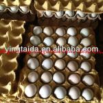 hot seller 30 cavities paper egg tray ytd9