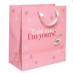 intersting design paper hand bag for shopping B-19