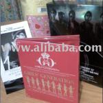 Korean Idols DVD