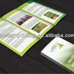 Laminated Flyers Printing FS--0002