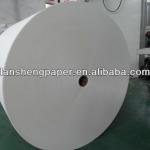 Manufaturer pe coated paper rolls LS--A0165