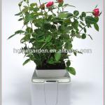 metal window boxes for plants SMG1200-1795