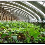 Multi-Functional Greenhouse Film HY-1098