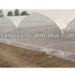 multi span agricultural greenhouses NG