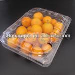 new design PET disposable plastic fruit container for supermarket GH-T0048