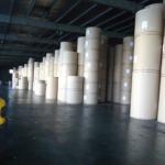 newsprint paper roll GDNW-0012