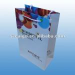 NICE Paper Shopping Bag OEM