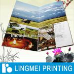 Offset Printing Catalog,Printing Factories LM-Custom Catalog Printing Service