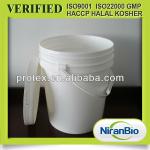 open head with handle plastic pails 2L/4L/20L/5GALLON