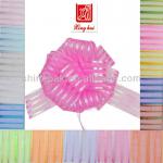 Organza with iridescent Butterfly Bow CSR