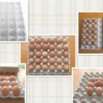 paper egg tray HONCO