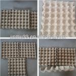 paper egg tray/egg dish/egg carton jfe006