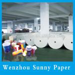 PE coated paper in roll for paper cup PEP-013