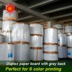 pe coated paper suppliers 700*1000MM